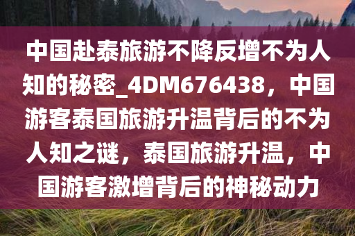 中国赴泰旅游不降反增不为人知的秘密_4DM676438，中国游客泰国旅游升温背后的不为人知之谜，泰国旅游升温，中国游客激增背后的神秘动力