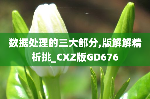 数据处理的三大部分,版解解精析挑_CXZ版GD676