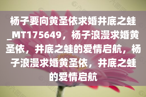 杨子要向黄圣依求婚井底之蛙_MT175649，杨子浪漫求婚黄圣依，井底之蛙的爱情启航，杨子浪漫求婚黄圣依，井底之蛙的爱情启航