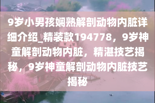 9岁小男孩娴熟解剖动物内脏详细介绍_精装款194778，9岁神童解剖动物内脏，精湛技艺揭秘，9岁神童解剖动物内脏技艺揭秘