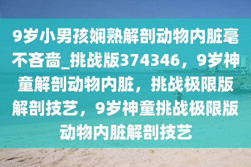 9岁小男孩娴熟解剖动物内脏毫不吝啬_挑战版374346，9岁神童解剖动物内脏，挑战极限版解剖技艺，9岁神童挑战极限版动物内脏解剖技艺