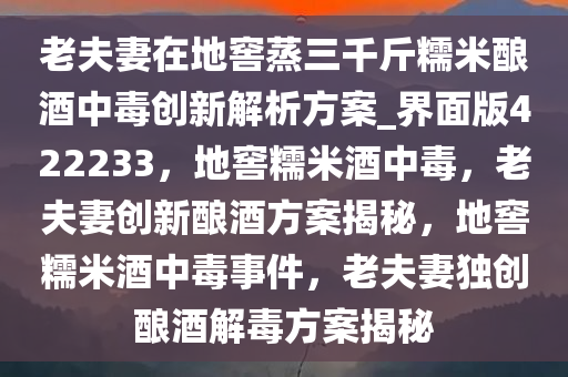 老夫妻在地窖蒸三千斤糯米酿酒中毒创新解析方案_界面版422233，地窖糯米酒中毒，老夫妻创新酿酒方案揭秘，地窖糯米酒中毒事件，老夫妻独创酿酒解毒方案揭秘