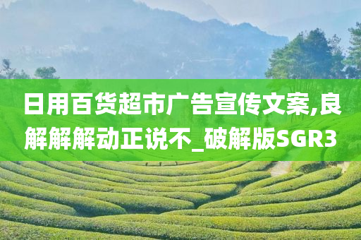 日用百货超市广告宣传文案,良解解解动正说不_破解版SGR3