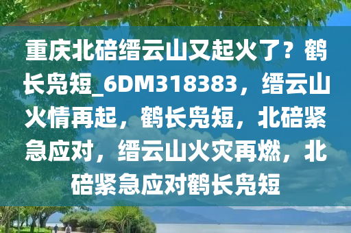 重庆北碚缙云山又起火了？鹤长凫短_6DM318383，缙云山火情再起，鹤长凫短，北碚紧急应对，缙云山火灾再燃，北碚紧急应对鹤长凫短