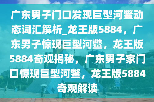 广东男子门口发现巨型河鳖动态词汇解析_龙王版5884，广东男子惊现巨型河鳖，龙王版5884奇观揭秘，广东男子家门口惊现巨型河鳖，龙王版5884奇观解读