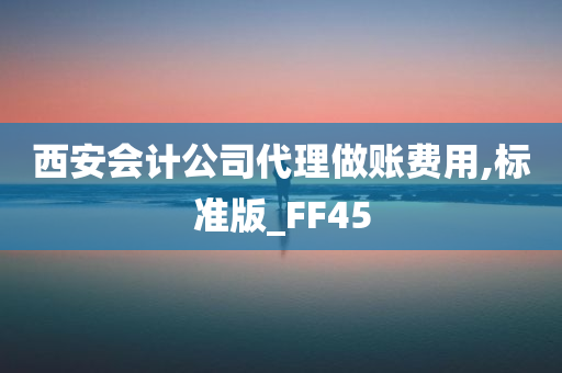 西安会计公司代理做账费用,标准版_FF45