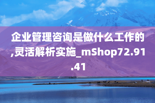 企业管理咨询是做什么工作的,灵活解析实施_mShop72.91.41