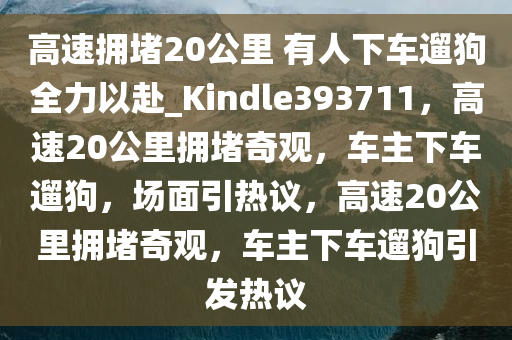 高速拥堵20公里 有人下车遛狗全力以赴_Kindle393711，高速20公里拥堵奇观，车主下车遛狗，场面引热议，高速20公里拥堵奇观，车主下车遛狗引发热议