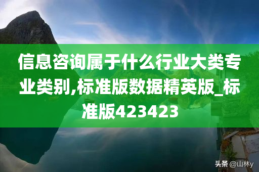 信息咨询属于什么行业大类专业类别,标准版数据精英版_标准版423423