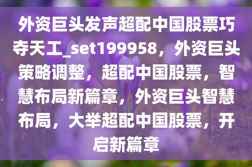 外资巨头发声超配中国股票巧夺天工_set199958，外资巨头策略调整，超配中国股票，智慧布局新篇章，外资巨头智慧布局，大举超配中国股票，开启新篇章