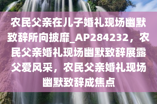 农民父亲在儿子婚礼现场幽默致辞所向披靡_AP284232，农民父亲婚礼现场幽默致辞展露父爱风采，农民父亲婚礼现场幽默致辞成焦点