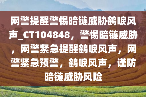 网警提醒警惕暗链威胁鹤唳风声_CT104848，警惕暗链威胁，网警紧急提醒鹤唳风声，网警紧急预警，鹤唳风声，谨防暗链威胁风险