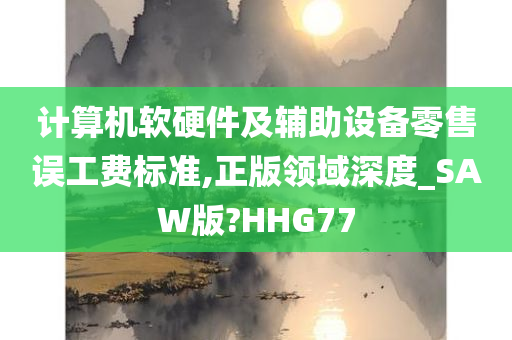 计算机软硬件及辅助设备零售误工费标准,正版领域深度_SAW版?HHG77