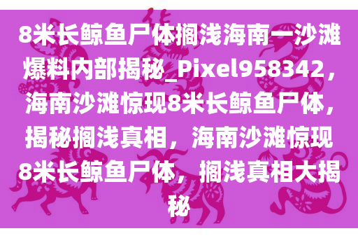 8米长鲸鱼尸体搁浅海南一沙滩爆料内部揭秘_Pixel958342，海南沙滩惊现8米长鲸鱼尸体，揭秘搁浅真相，海南沙滩惊现8米长鲸鱼尸体，搁浅真相大揭秘