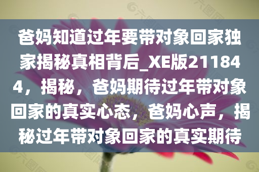 爸妈知道过年要带对象回家独家揭秘真相背后_XE版211844，揭秘，爸妈期待过年带对象回家的真实心态，爸妈心声，揭秘过年带对象回家的真实期待