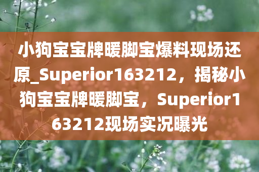 小狗宝宝牌暖脚宝爆料现场还原_Superior163212，揭秘小狗宝宝牌暖脚宝，Superior163212现场实况曝光