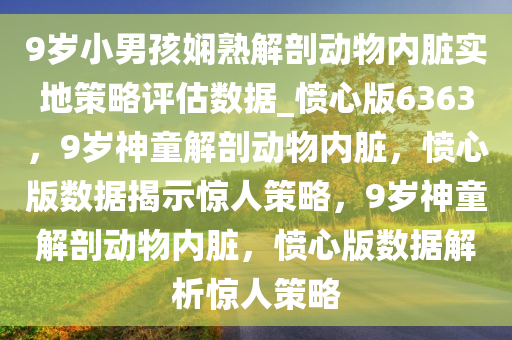 9岁小男孩娴熟解剖动物内脏实地策略评估数据_愤心版6363，9岁神童解剖动物内脏，愤心版数据揭示惊人策略，9岁神童解剖动物内脏，愤心版数据解析惊人策略