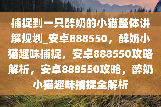 捕捉到一只醉奶的小猫整体讲解规划_安卓888550，醉奶小猫趣味捕捉，安卓888550攻略解析，安卓888550攻略，醉奶小猫趣味捕捉全解析