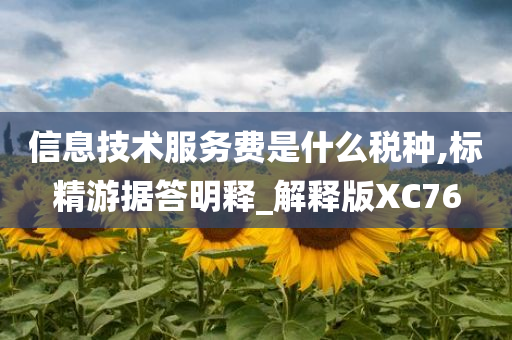 信息技术服务费是什么税种,标精游据答明释_解释版XC76