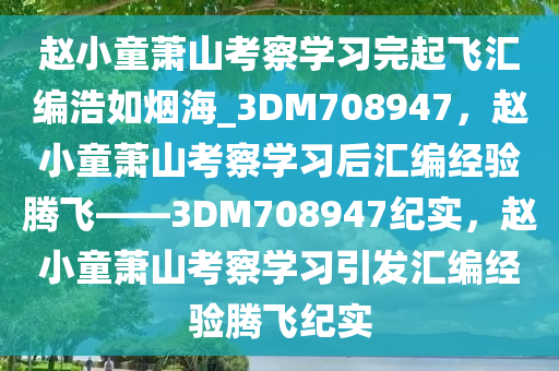 赵小童萧山考察学习完起飞汇编浩如烟海_3DM708947，赵小童萧山考察学习后汇编经验腾飞——3DM708947纪实，赵小童萧山考察学习引发汇编经验腾飞纪实