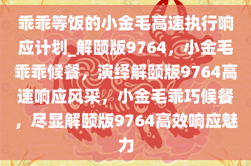 乖乖等饭的小金毛高速执行响应计划_解颐版9764，小金毛乖乖候餐，演绎解颐版9764高速响应风采，小金毛乖巧候餐，尽显解颐版9764高效响应魅力