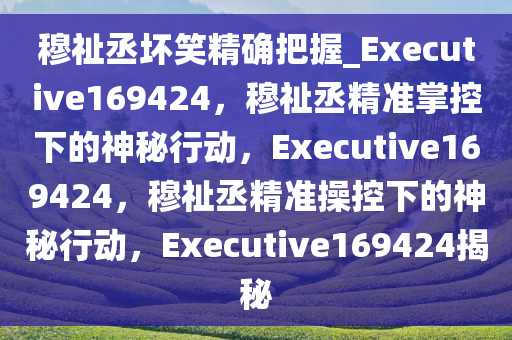 穆祉丞坏笑精确把握_Executive169424，穆祉丞精准掌控下的神秘行动，Executive169424，穆祉丞精准操控下的神秘行动，Executive169424揭秘