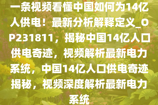 一条视频看懂中国如何为14亿人供电！最新分析解释定义_OP231811，揭秘中国14亿人口供电奇迹，视频解析最新电力系统，中国14亿人口供电奇迹揭秘，视频深度解析最新电力系统