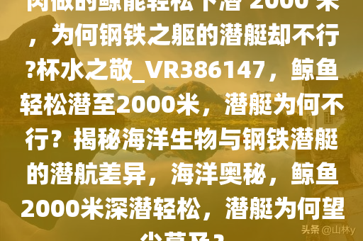 肉做的鲸能轻松下潜 2000 米，为何钢铁之躯的潜艇却不行?杯水之敬_VR386147，鲸鱼轻松潜至2000米，潜艇为何不行？揭秘海洋生物与钢铁潜艇的潜航差异，海洋奥秘，鲸鱼2000米深潜轻松，潜艇为何望尘莫及？