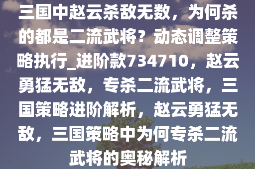 三国中赵云杀敌无数，为何杀的都是二流武将？动态调整策略执行_进阶款734710，赵云勇猛无敌，专杀二流武将，三国策略进阶解析，赵云勇猛无敌，三国策略中为何专杀二流武将的奥秘解析