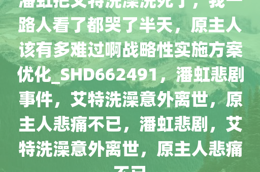 潘虹把艾特洗澡洗死了，我一路人看了都哭了半天，原主人该有多难过啊战略性实施方案优化_SHD662491，潘虹悲剧事件，艾特洗澡意外离世，原主人悲痛不已，潘虹悲剧，艾特洗澡意外离世，原主人悲痛不已