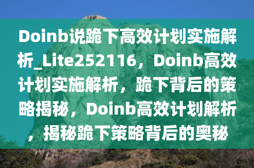 Doinb说跪下高效计划实施解析_Lite252116，Doinb高效计划实施解析，跪下背后的策略揭秘，Doinb高效计划解析，揭秘跪下策略背后的奥秘