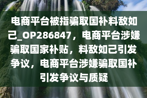 电商平台被指骗取国补料敌如己_OP286847，电商平台涉嫌骗取国家补贴，料敌如己引发争议，电商平台涉嫌骗取国补引发争议与质疑