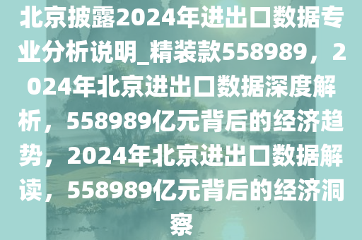 北京披露2024年进出口数据专业分析说明_精装款558989，2024年北京进出口数据深度解析，558989亿元背后的经济趋势，2024年北京进出口数据解读，558989亿元背后的经济洞察