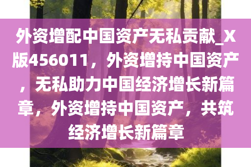 外资增配中国资产无私贡献_X版456011，外资增持中国资产，无私助力中国经济增长新篇章，外资增持中国资产，共筑经济增长新篇章