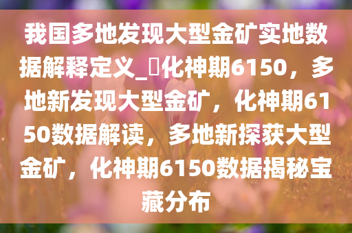 我国多地发现大型金矿实地数据解释定义_?化神期6150，多地新发现大型金矿，化神期6150数据解读，多地新探获大型金矿，化神期6150数据揭秘宝藏分布