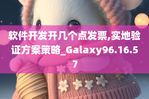 软件开发开几个点发票,实地验证方案策略_Galaxy96.16.57