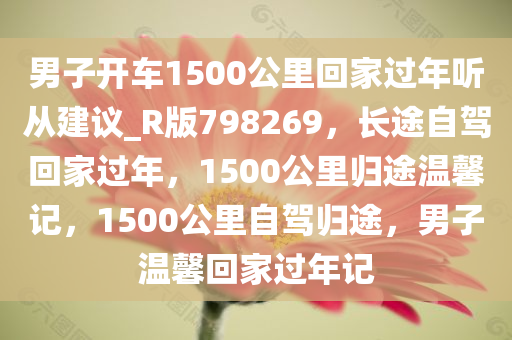 男子开车1500公里回家过年听从建议_R版798269，长途自驾回家过年，1500公里归途温馨记，1500公里自驾归途，男子温馨回家过年记