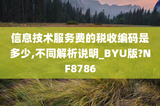 信息技术服务费的税收编码是多少,不同解析说明_BYU版?NF8786