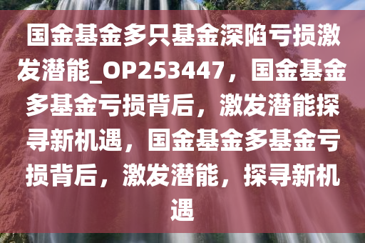 国金基金多只基金深陷亏损激发潜能_OP253447，国金基金多基金亏损背后，激发潜能探寻新机遇，国金基金多基金亏损背后，激发潜能，探寻新机遇