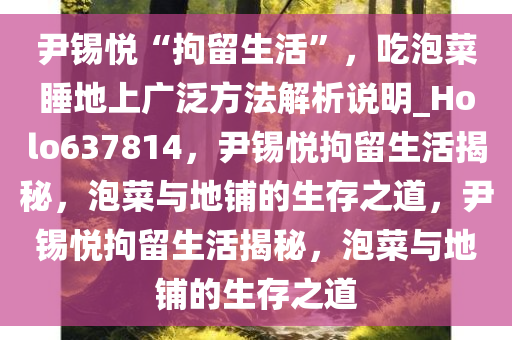 尹锡悦“拘留生活”，吃泡菜睡地上广泛方法解析说明_Holo637814，尹锡悦拘留生活揭秘，泡菜与地铺的生存之道，尹锡悦拘留生活揭秘，泡菜与地铺的生存之道