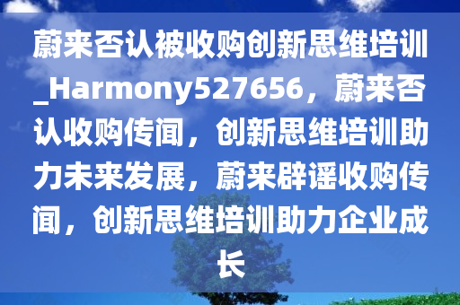 蔚来否认被收购创新思维培训_Harmony527656，蔚来否认收购传闻，创新思维培训助力未来发展，蔚来辟谣收购传闻，创新思维培训助力企业成长