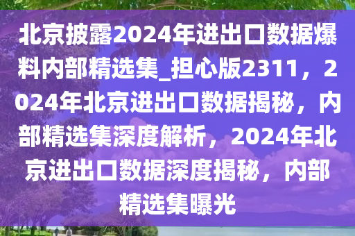 北京披露2024年进出口数据爆料内部精选集_担心版2311，2024年北京进出口数据揭秘，内部精选集深度解析，2024年北京进出口数据深度揭秘，内部精选集曝光