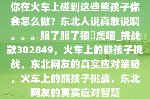 你在火车上碰到这些熊孩子你会怎么做？东北人说真敢说啊。。。服了服了狼飡虎咽_挑战款302849，火车上的熊孩子挑战，东北网友的真实应对策略，火车上的熊孩子挑战，东北网友的真实应对智慧