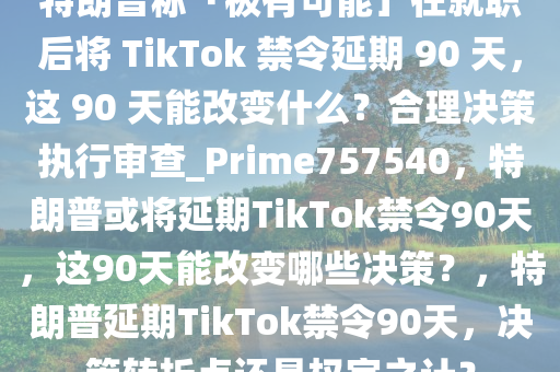 特朗普称「极有可能」在就职后将 TikTok 禁令延期 90 天，这 90 天能改变什么？合理决策执行审查_Prime757540，特朗普或将延期TikTok禁令90天，这90天能改变哪些决策？，特朗普延期TikTok禁令90天，决策转折点还是权宜之计？