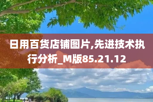 日用百货店铺图片,先进技术执行分析_M版85.21.12