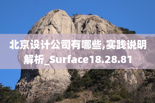 北京设计公司有哪些,实践说明解析_Surface18.28.81