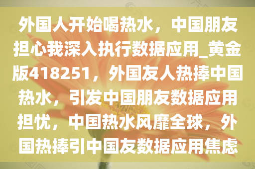 外国人开始喝热水，中国朋友担心我深入执行数据应用_黄金版418251，外国友人热捧中国热水，引发中国朋友数据应用担忧，中国热水风靡全球，外国热捧引中国友数据应用焦虑