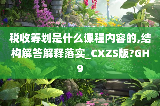 税收筹划是什么课程内容的,结构解答解释落实_CXZS版?GH9