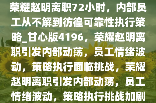 荣耀赵明离职72小时，内部员工从不解到彷徨可靠性执行策略_甘心版4196，荣耀赵明离职引发内部动荡，员工情绪波动，策略执行面临挑战，荣耀赵明离职引发内部动荡，员工情绪波动，策略执行挑战加剧