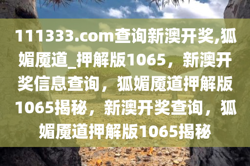 111333.соm查询新澳开奖,狐媚魇道_押解版1065，新澳开奖信息查询，狐媚魇道押解版1065揭秘，新澳开奖查询，狐媚魇道押解版1065揭秘